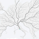 Illustration for article titled Not All Roads Actually Lead to Rome